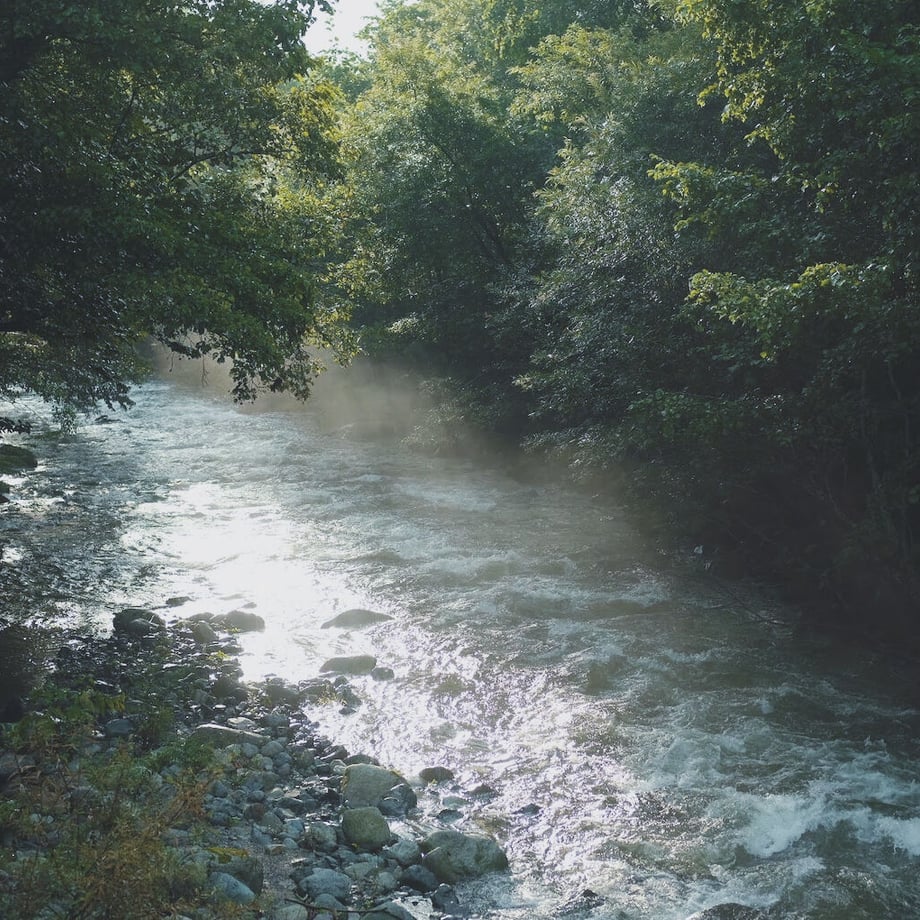 646c565915680f002b215093