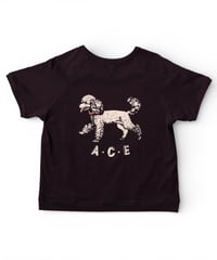 “ACE” retro raglan tee(charcoal)