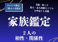 【条件あり】みかがみ家族（相性・関係）鑑定（2名）PDE版用※友人・恋人・ビジネスパートナーのお申込みでも可