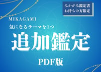 【みかがみ追加鑑定】気になるテーマを１つ鑑定　PDF版　※みかがみ鑑定書をお持ちの方限定