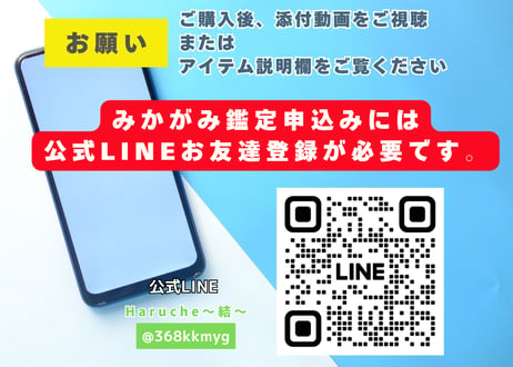 【条件あり】みかがみ家族（相性・関係）鑑定（2名）PDE版用※友人・恋人・ビジネスパートナーのお申込みでも可