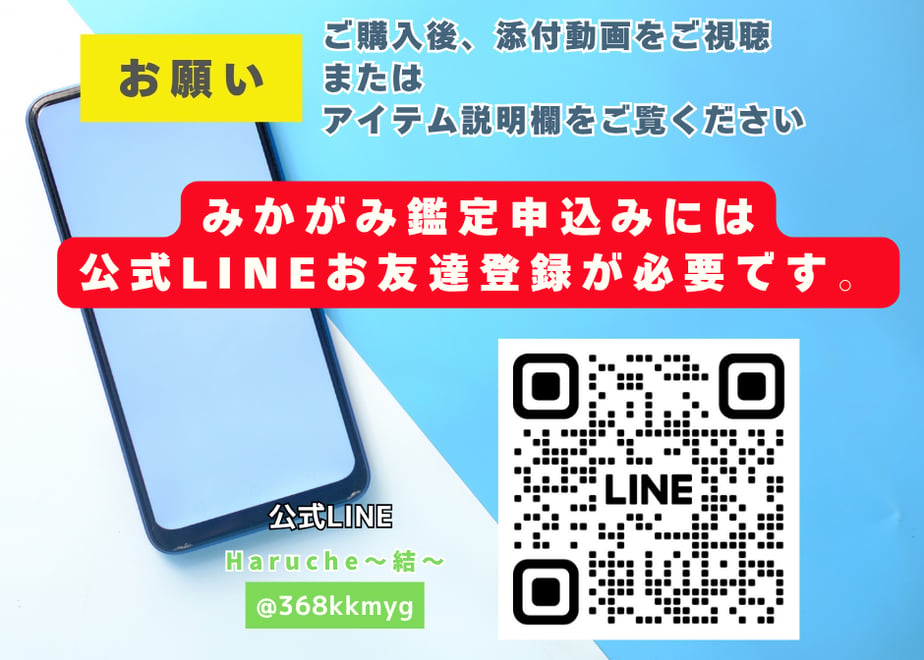 685e505fe7d722e1dc13a2bb