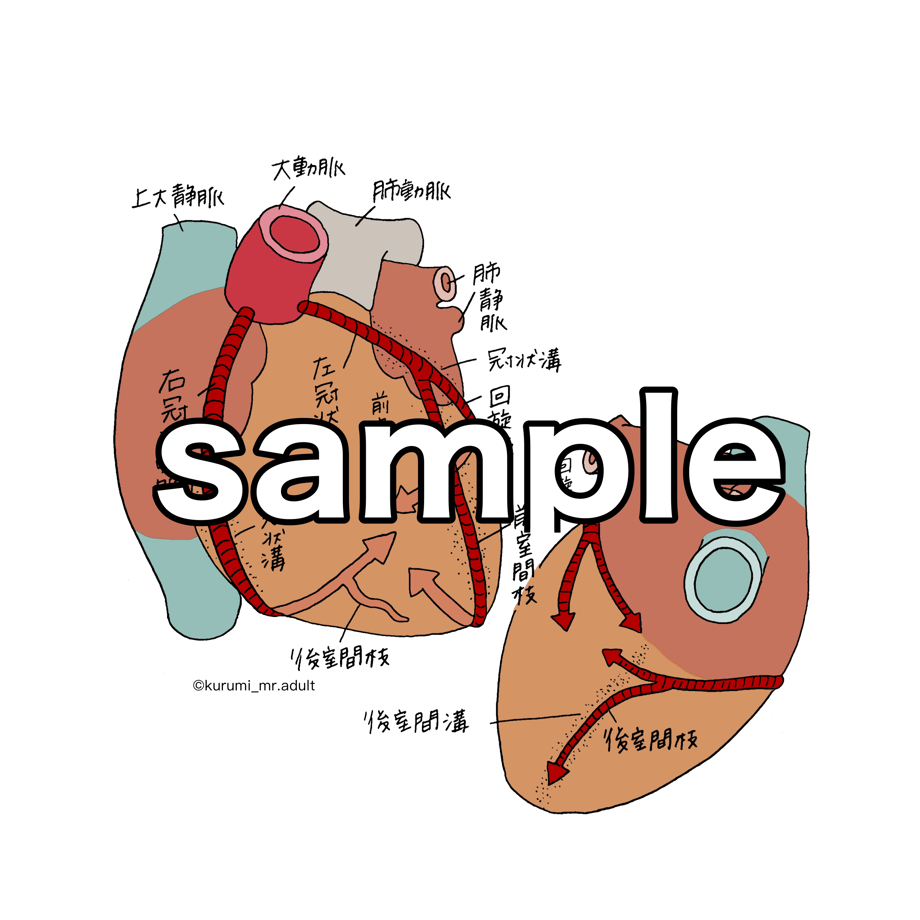 63442fa7f80f1e40fca3d63a