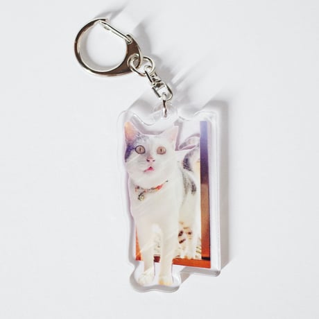 SHIZUKU-SAMA WEB SHOP 