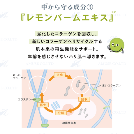 ｔｏｔｏＢＵＴＴＥＲ (トトバター) ３０g