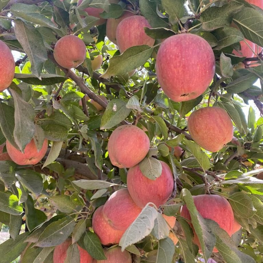64d7941a26021600366d9211
