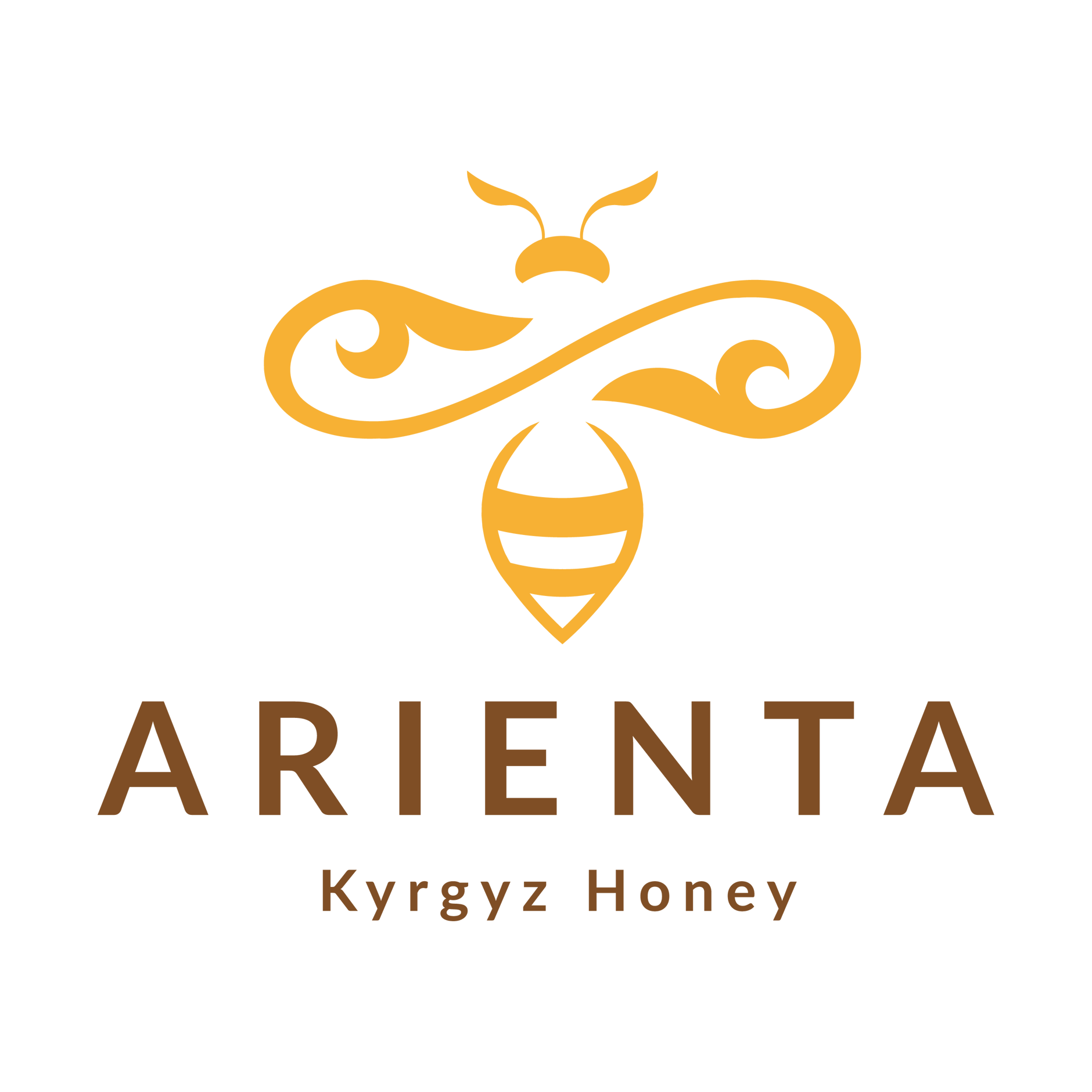 ABOUT | アリエンタストア ABOUT | アリエンタストア