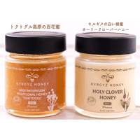 2本セット ＜キルギスの白い蜂蜜 ホーリークローバーハニー＆トクトグル高原の百花蜜＞