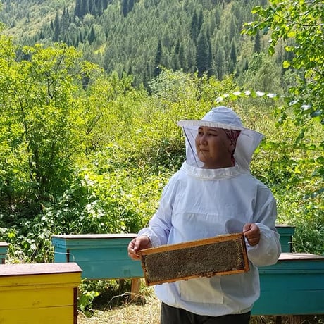 トクトグル高原の百花蜜＜200ｇ＞Red honey - High mountain polyfloral honey “Toktogul”