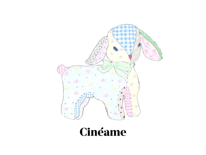Cinéame Store