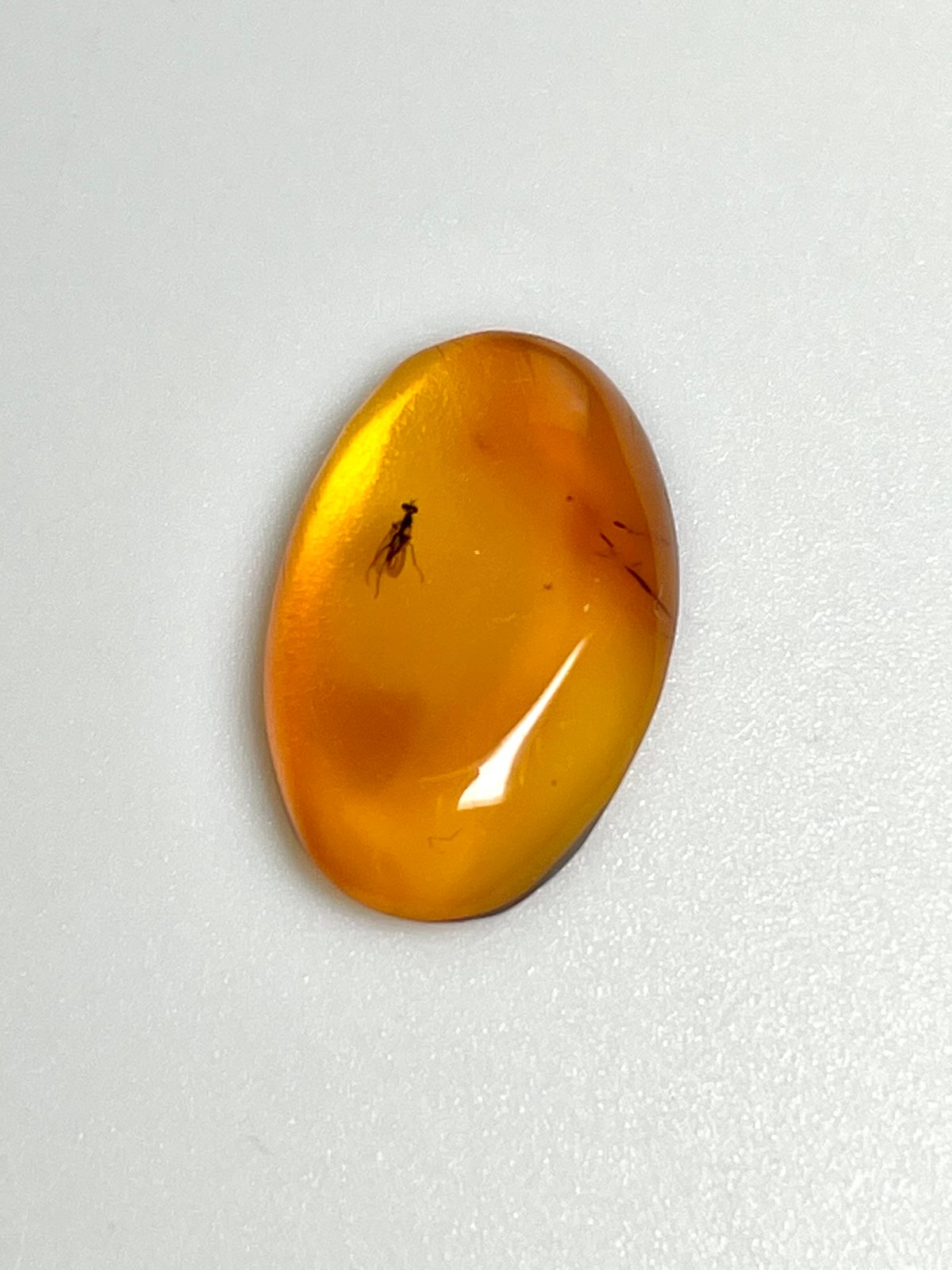 レア☆アンバー◇天然虫入り【琥珀】昆虫入り◇カボション◇タンブル