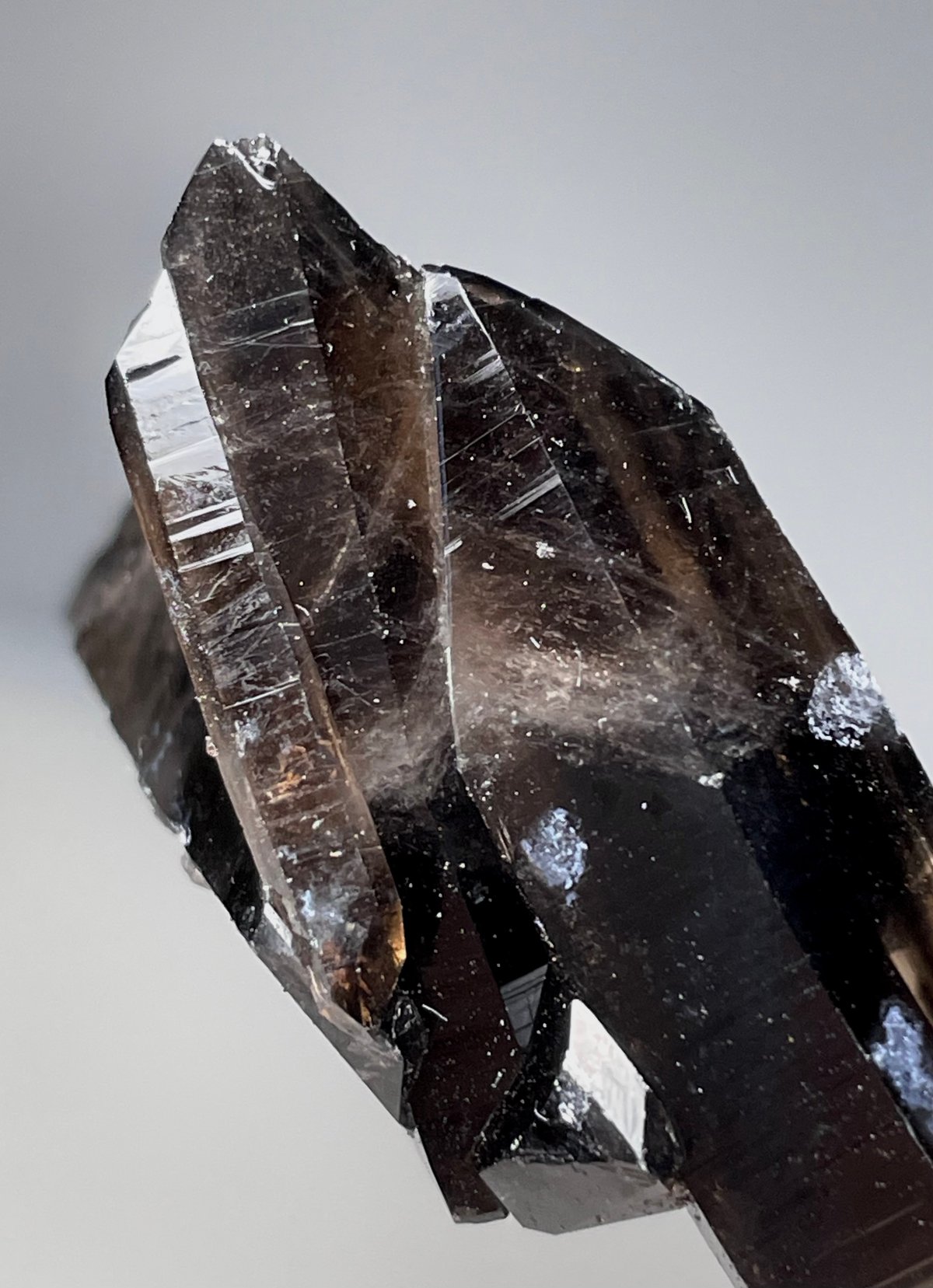 極上モリオン【黒水晶】ポイント◇クラスター◇天然石 極上モリオン【黒水晶】ポイント◇クラスター◇天然石