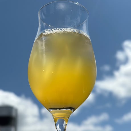 ペティアン(スパークリング200㎖)２本とおまかせクラフトビール(330㎖)4本の計6本セット