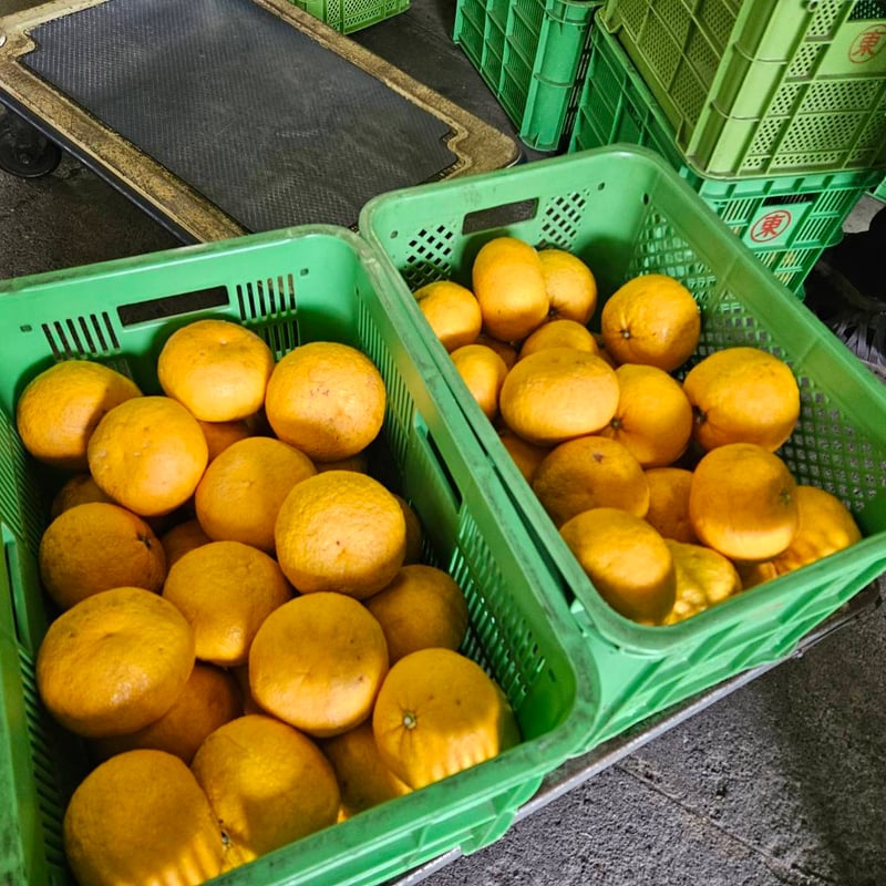 ペティアン(スパークリング200㎖)2本とおまかせクラフトビール