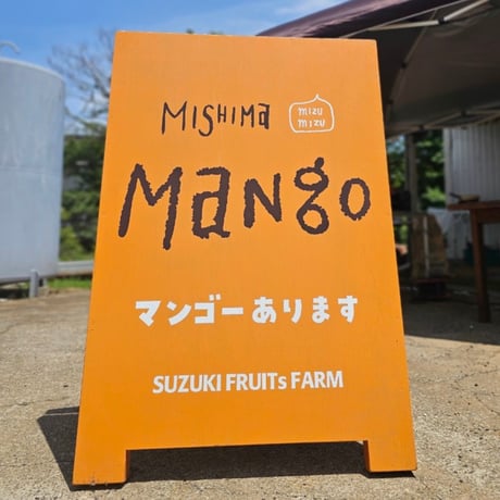 Mishima　mangue3  ～Sour Ale～ ×６本