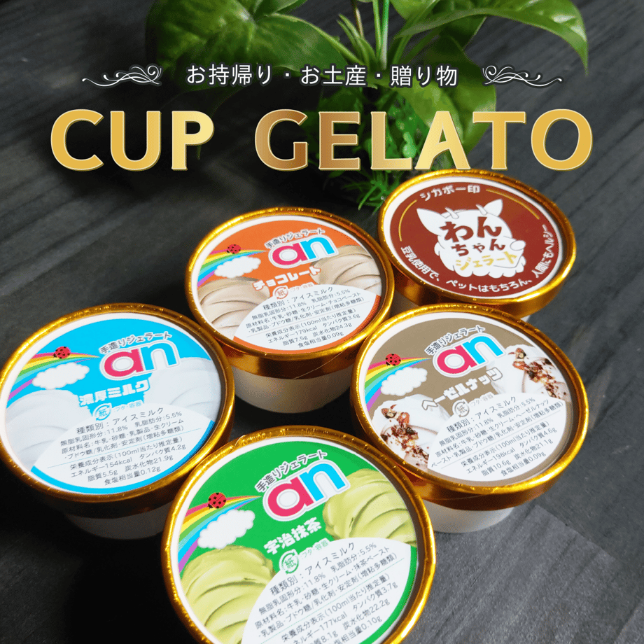 6316dd3125c90627910768fe