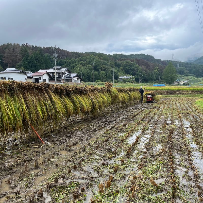 令和6年度長野県産 特別栽培米コシヒカリ 【はぜかけ米20kg 令和6年度長野県産 特別栽培米コシヒカリ 【はぜかけ米20kg