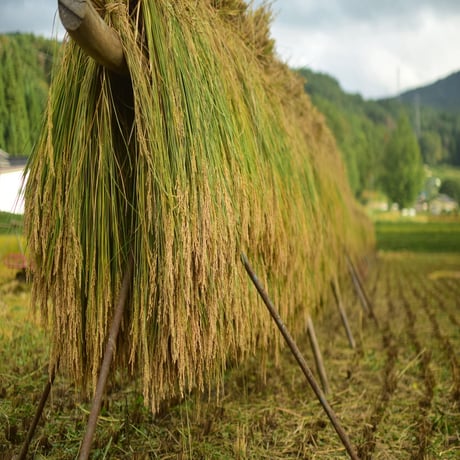 はぜかけ米 | STORES