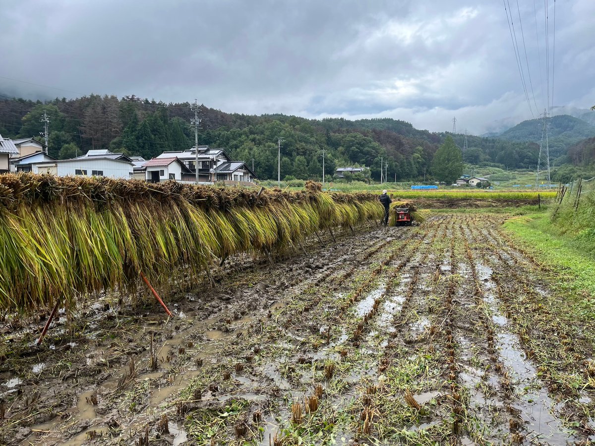 令和6年度長野県産 特別栽培米コシヒカリ 【はぜかけ米10kg 令和6年度長野県産 特別栽培米コシヒカリ 【はぜかけ米10kg