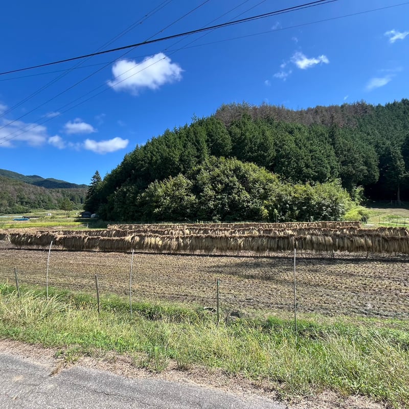 令和6年度長野県産 特別栽培米コシヒカリ 【はぜかけ米20kg 令和6年度長野県産 特別栽培米コシヒカリ 【はぜかけ米20kg
