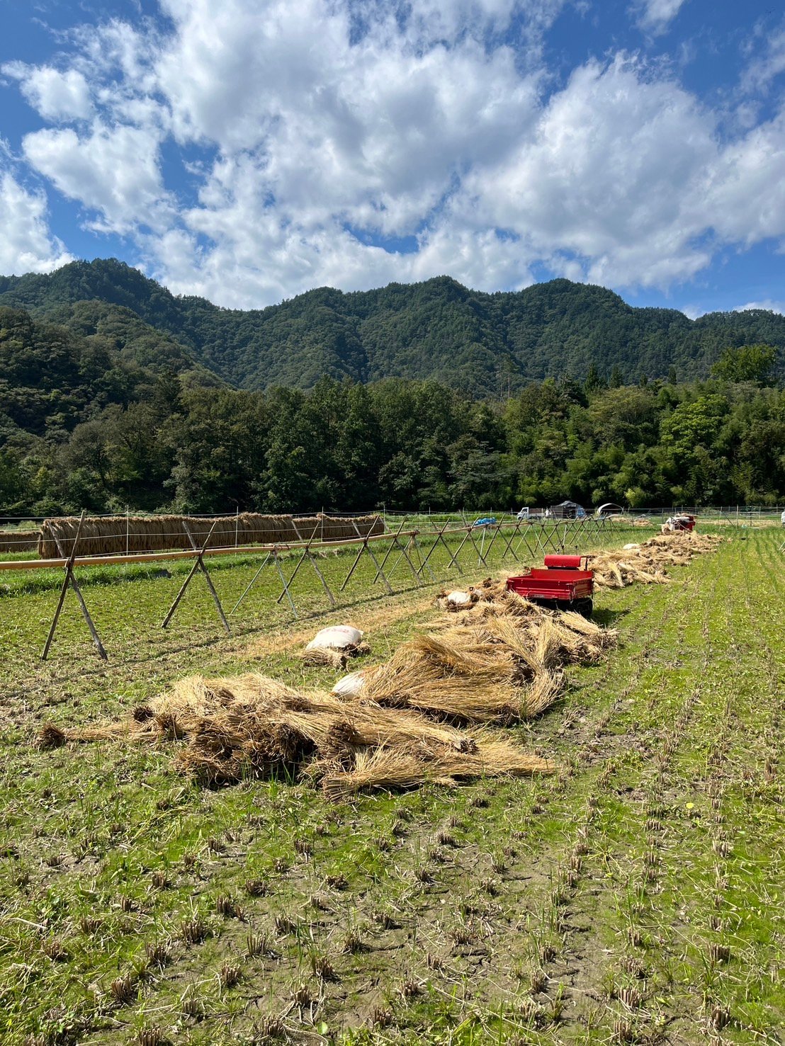 令和7年度長野県産 特別栽培米コシヒカリ 【はぜかけ米10kg】※栽培期間