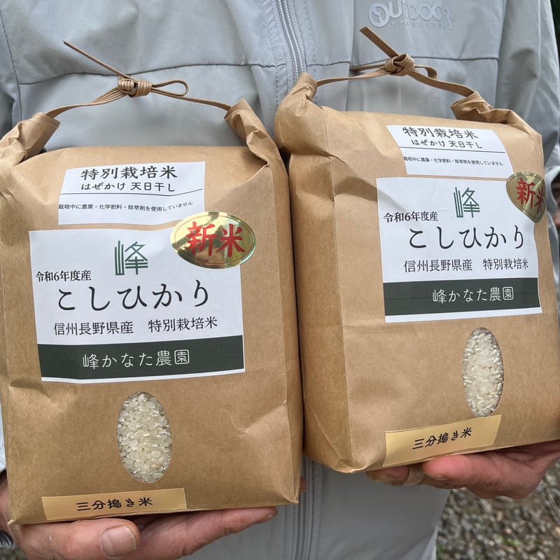 令和6年度 長野県産コシヒカリ 10kg 精米済み 白米