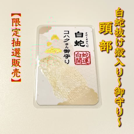 SHIROヘビのコハクさん」のお店