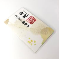 白蛇抜け殻入り〜御守り〜 （胴体部25） | 「SHIROヘビのコハクさん