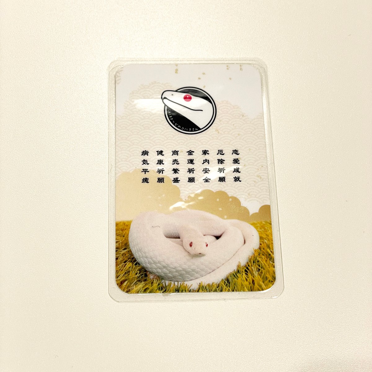 manomanoさまオーダー＊白蛇抜け殻入りお守り＊４点 manomanoさまオーダー＊白蛇抜け殻入りお守り＊4点 manomano