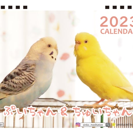 【予約販売】 鳥 インコのぷいちゃん＆ちゅいちゃん 2023年 卓上カレンダー TC23224