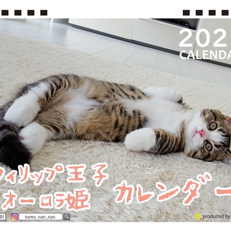 【予約販売】 マンチカン猫のフィリップ王子＆オーロラ姫 2023年 卓上カレンダー TC23065