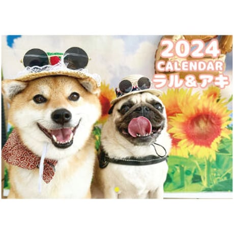 【予約販売】 パグと柴犬のラル＆アキ 2024年 壁掛け カレンダー KK24184