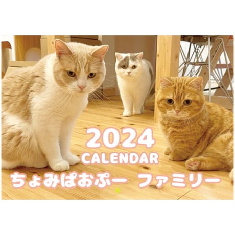 【予約販売】 猫のちょみぱおぷー 2024年 壁掛け カレンダー KK24316