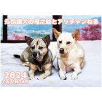 【予約販売】 元保護犬の竜之助とアッチャン 2024年 壁掛け カレンダー KK24182