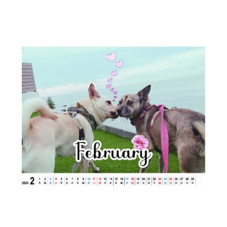 【予約販売】 元保護犬の竜之助とアッチャン 2024年 卓上 カレンダー TC24183