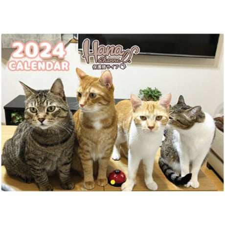【予約販売】 Hana Channel 保護猫ライフ 2024年 壁掛け カレンダー KK24151