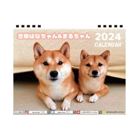 【予約販売】 柴犬 はなちゃん＆まるちゃん 2024年 卓上 カレンダー TC24096