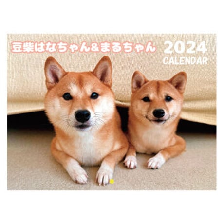 【予約販売】 柴犬 はなちゃん＆まるちゃん 2024年 壁掛け カレンダー KK24095