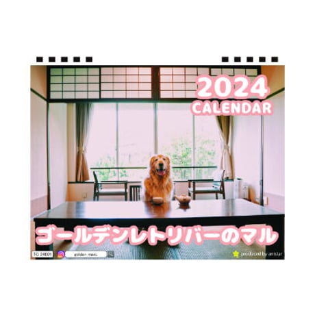 【予約販売】 ゴールデンレトリバー犬のマル 2024年 卓上 カレンダー TC24147