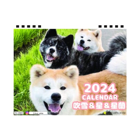 【予約販売】 秋田犬の吹雪＆星＆星蘭 2024年 卓上 カレンダー TC24248
