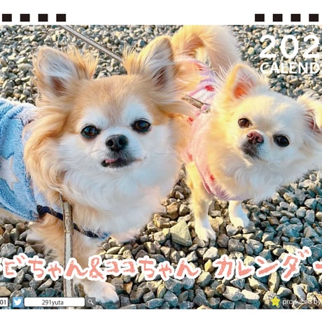 【予約販売】 チワワ犬 チビちゃん&ココちゃん 2023年 卓上カレンダー TC23009