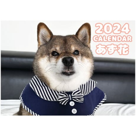 【予約販売】 柴犬のあず花 2024年 壁掛け カレンダー KK24015