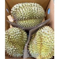 タイ産 ドリアン 2.6~3.2kg L号 金枕 生ドリアン モントーン 新鮮ドリアン 榴槤 榴梿 榴連【常温便】