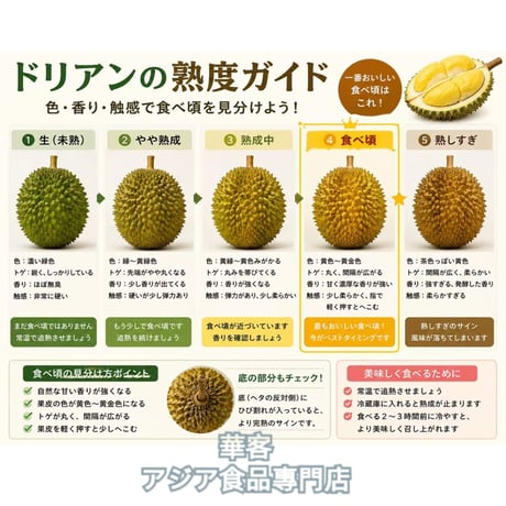 タイ産 ドリアン 1.4~1.9kg S号 金枕 生ドリアン モントーン 新鮮ドリアン 榴槤 榴梿 榴連【常温便】