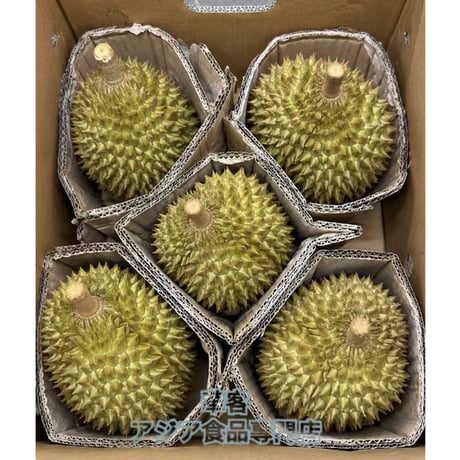 タイ産 ドリアン 1.4~1.9kg S号 金枕 生ドリアン モントーン 新鮮ドリアン 榴槤 榴梿 榴連【常温便】