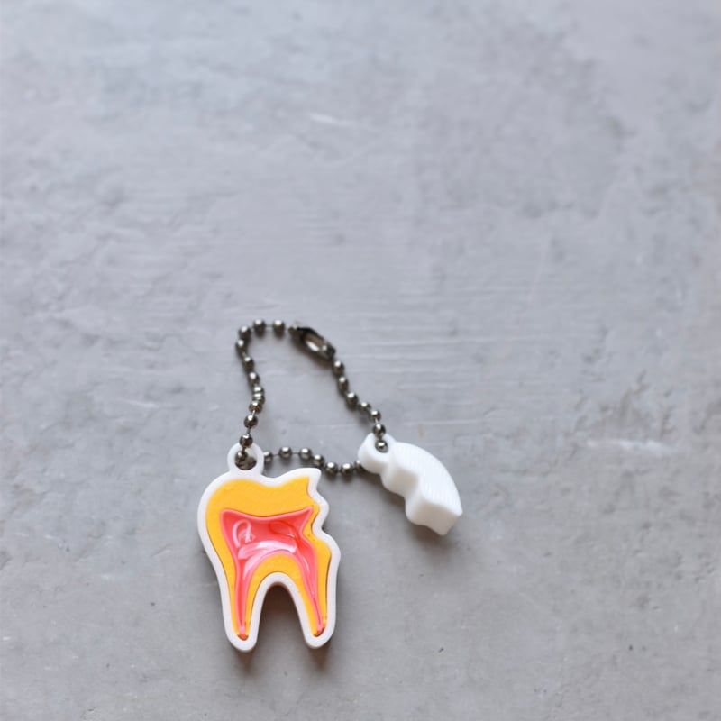 丸ごと歯！キーホルダー | こどもGROWオーラルセラピークリニック