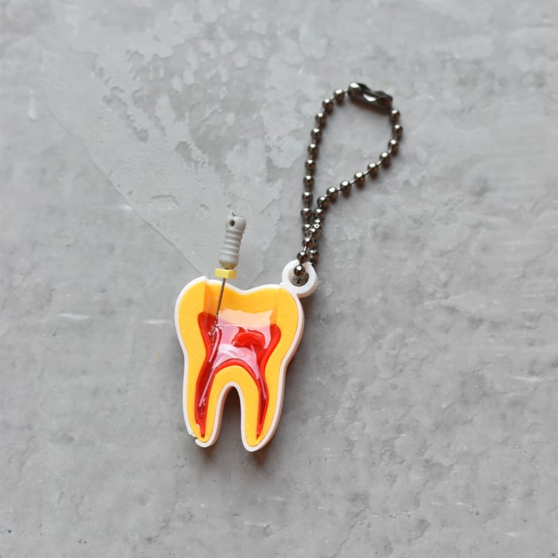 丸ごと歯！キーホルダー | こどもGROWオーラルセラピークリニック