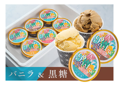 アイスクリーム　２種アソート【 送料込み 】