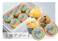 カップアイス６個アソートセット【 送料込み 】