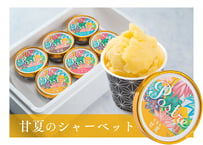 甘夏のシャーベット〈果汁分75％〉【 送料込み 】